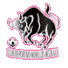 Deportivo Novillos Neza